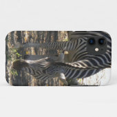 Grazing Zebra iPhone 5 Fall Case-Mate iPhone Hülle (Rückseite (Horizontal))