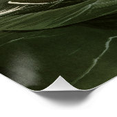 Great Auk Poster (Ecke)