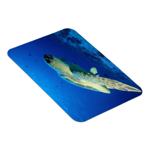 Great Barrier Reef, Australien 2 Magnet (Rechte Seite)