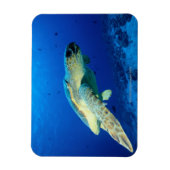 Great Barrier Reef, Australien 2 Magnet (Vertikal)