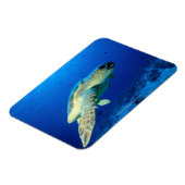 Great Barrier Reef, Australien 2 Magnet (Linke Seite)