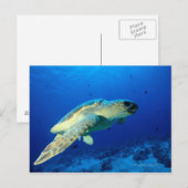 Great Barrier Reef, Australien 2 Postkarte (Vorne/Hinten)