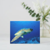 Great Barrier Reef, Australien 2 Postkarte (Stehend Vorderseite)