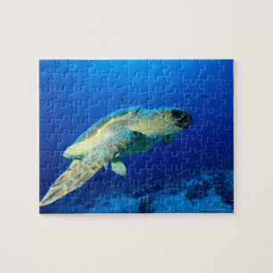 Great Barrier Reef, Australien 2 Puzzle