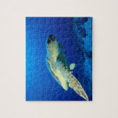 Great Barrier Reef, Australien 2 Puzzle (Vertikal)