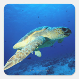 Great Barrier Reef, Australien 2 Quadratischer Aufkleber