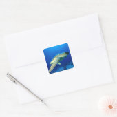 Great Barrier Reef, Australien 2 Quadratischer Aufkleber (Umschlag)