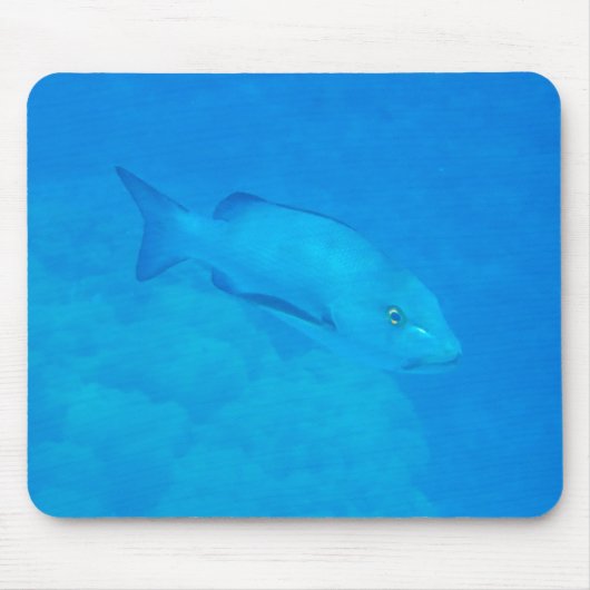 Great Barrier Reef Bohar Snapper Fisch Mousepad (Vorne)