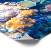 Great Barrier Reef Coral - #1 Poster (Ecke)