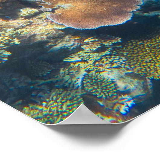 Great Barrier Reef Coral - #3 Poster (Ecke)