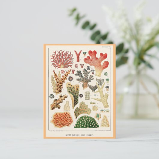 Great Barrier Reef Corals Postkarte (Stehend Vorderseite)