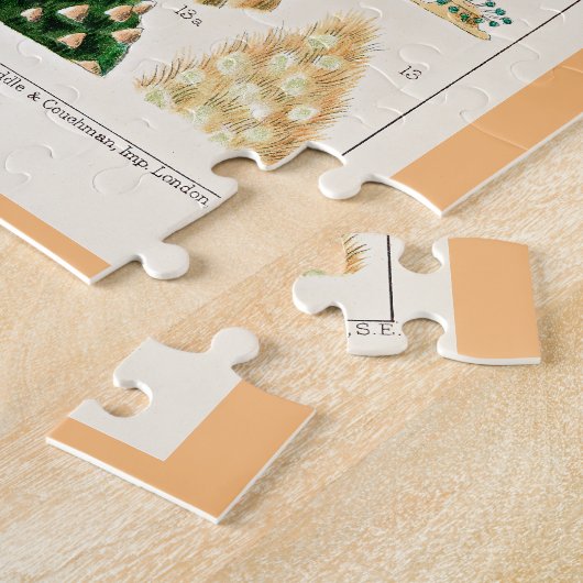 Great Barrier Reef Corals Puzzle (Seite)