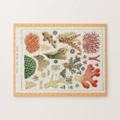 Great Barrier Reef Corals Puzzle (Horizontal)
