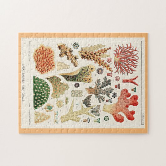 Great Barrier Reef Corals Puzzle (Horizontal)