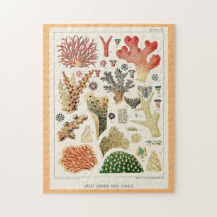 Great Barrier Reef Corals Puzzle