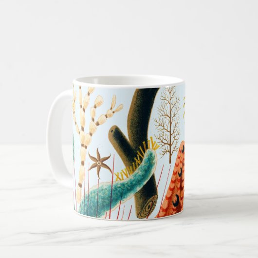 Great Barrier Reef Echinoderme | VINTAG Kaffeetasse (Vorderseite Links)