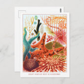 Great Barrier Reef Echinoderme | VINTAG Postkarte (Vorne/Hinten)