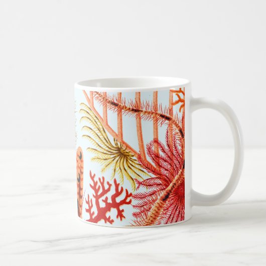 Great Barrier Reef Echinodermen | Vintage Kaffeetasse (Rechts)