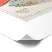 Great Barrier Reef Fische in Korallen, Art Print Poster (Ecke)