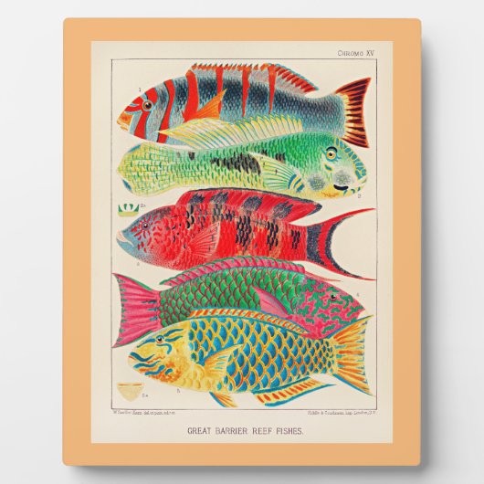 Great Barrier Reef Fish Fotoplatte (Vorderseite)