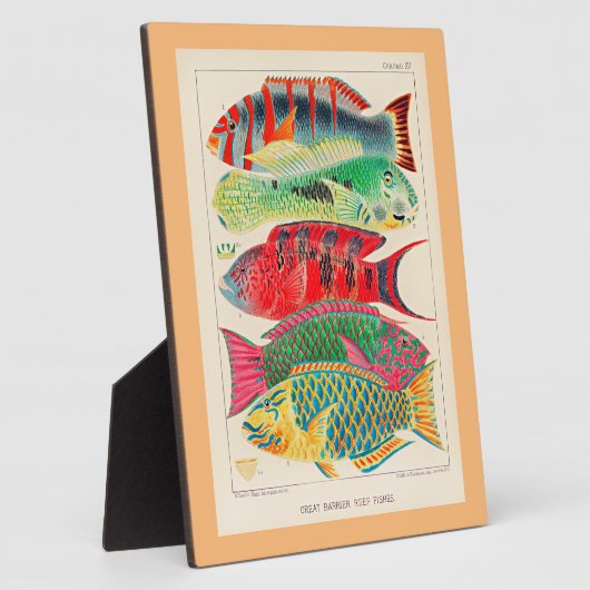 Great Barrier Reef Fish Fotoplatte (Seite)