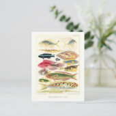 Great Barrier Reef Fish Vintage Postkarte (Stehend Vorderseite)