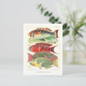 Great Barrier Reef Fish Vintage Postkarte (Stehend Vorderseite)