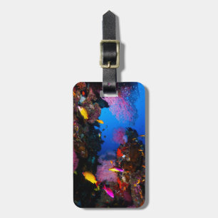 Great Barrier Reef Gepäckanhänger