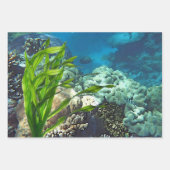 Great Barrier Reef Geschenkpapier Set (Vorderseite)