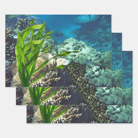 Great Barrier Reef Geschenkpapier Set (Set)