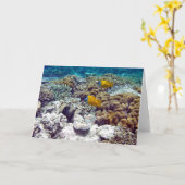 Great Barrier Reef Karte (Gelbe Blume)
