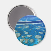 Great Barrier Reef Magnet (Vorderseite/Rückseite)
