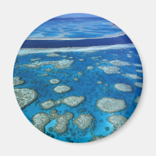 Great Barrier Reef Magnet