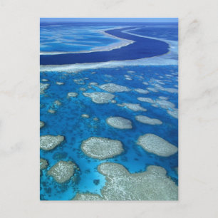 Great Barrier Reef Marine Park Queensland AU Postkarte