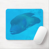 Great Barrier Reef Napoleon Wrasse Fish Mousepad (Mit Mouse)