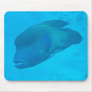 Great Barrier Reef Napoleon Wrasse Fish Mousepad