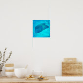 Great Barrier Reef Napoleon Wrasse Fish Poster (Küche)