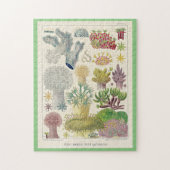 Great Barrier Reef of Australia, Alcyonaria, Puzzle (Vertikal)