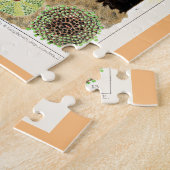 Great Barrier Reef of Australia Anemones Puzzle (Seite)