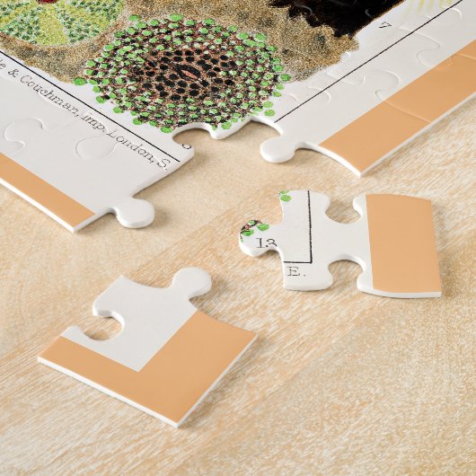 Great Barrier Reef of Australia Anemones Puzzle (Seite)