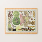 Great Barrier Reef of Australia Anemones Puzzle (Horizontal)