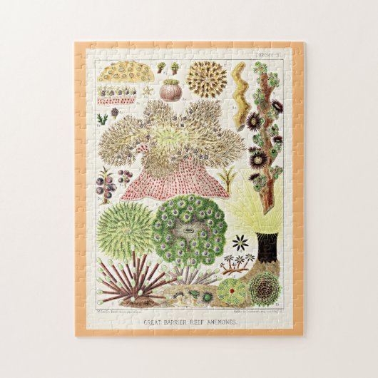 Great Barrier Reef of Australia Anemones Puzzle (Vertikal)