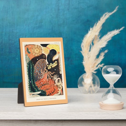 Great Barrier Reef of Australia, Trepang, Fotoplatte (Seite)