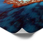 Great Barrier Reef Poster (Ecke)