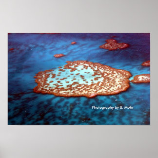 Great Barrier Reef Poster