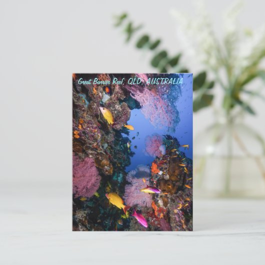 Great Barrier Reef Postkarte (Stehend Vorderseite)