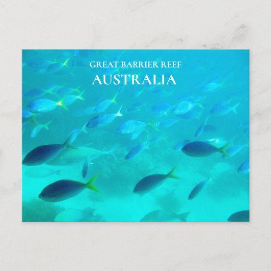 Great Barrier Reef Queensland australische Reise Postkarte (Vorderseite)
