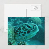 Great Barrier Reef Schildkröte Postkarte (Vorne/Hinten)