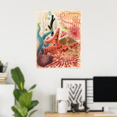 Great Barrier Reef Stachelhäuter, Poster (Heimbüro)