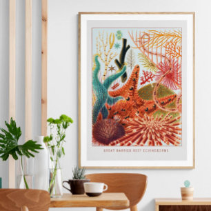 Great Barrier Reef Stachelhäuter Vintage Poster